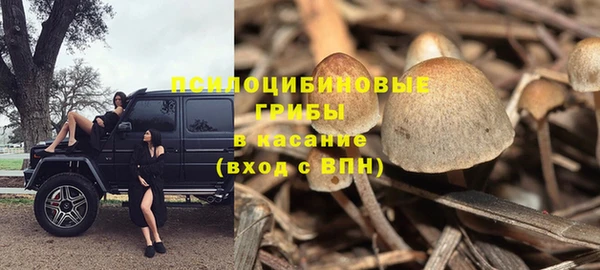 индика Абдулино