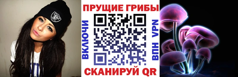 кракен ССЫЛКА Снежногорск Галлюциногенные грибы мицелий